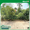 listing thumbnail image 14