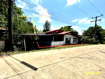 บ้านเดี่ยว เมืองยโสธร ยโสธร : บ้านเดี่ยว 38 ตร.วา เมืองยโสธร ยโสธร 527,000