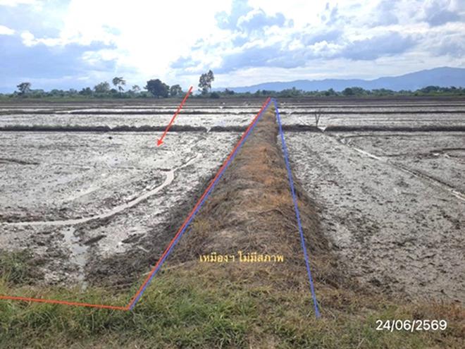 picture LAND 5450 Sq.w. Mae Chan Chiang Rai for 2.6M - 5/19