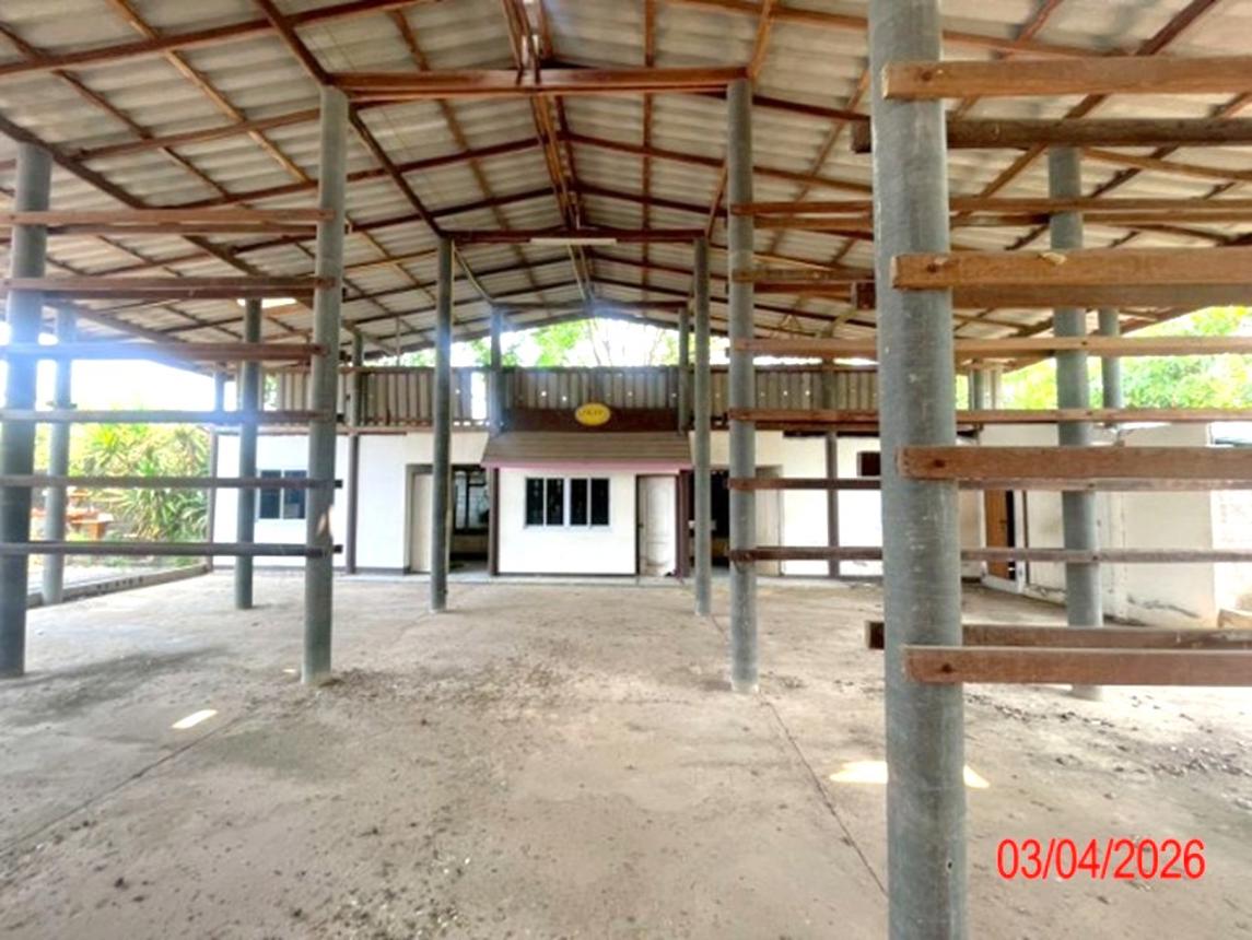 รูป โกดัง 395.1 ตร.วา บ้านโฮ่ง ลำพูน 1.4M - รูปที่ 34/45