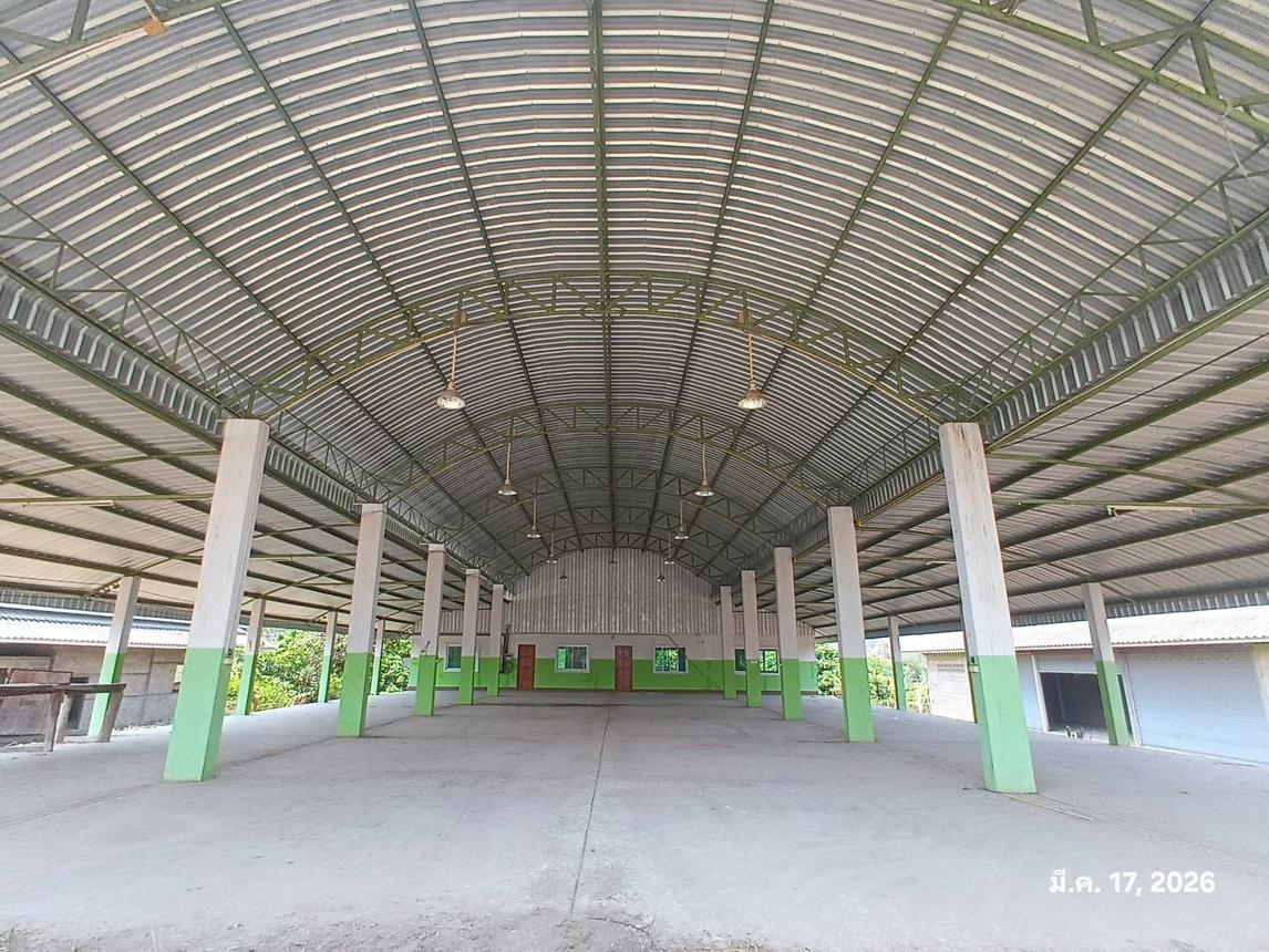 รูป โกดัง 860 ตร.วา ลี้ ลำพูน 4.9M - รูปที่ 26/43