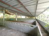 listing thumbnail image 28