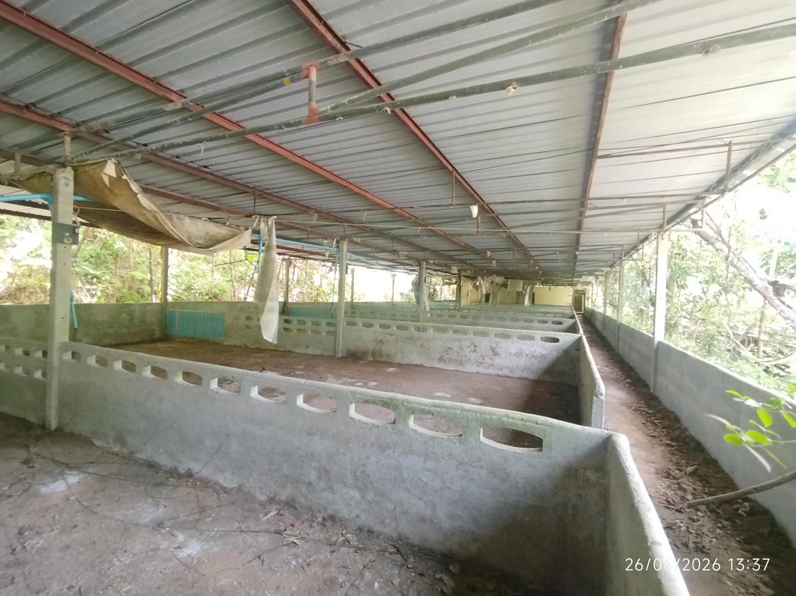 รูป บ้านเดี่ยว 4455.3 ตร.วา ตะกั่วทุ่ง พังงา 4.4M - รูปที่ 29/37