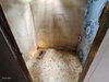 listing thumbnail image 24