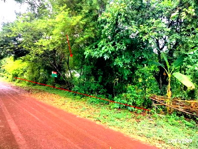 ที่ดิน สกลนคร : ที่ดินว่างเปล่า 952 ตร.วา วาริชภูมิ สกลนคร 1.3M
