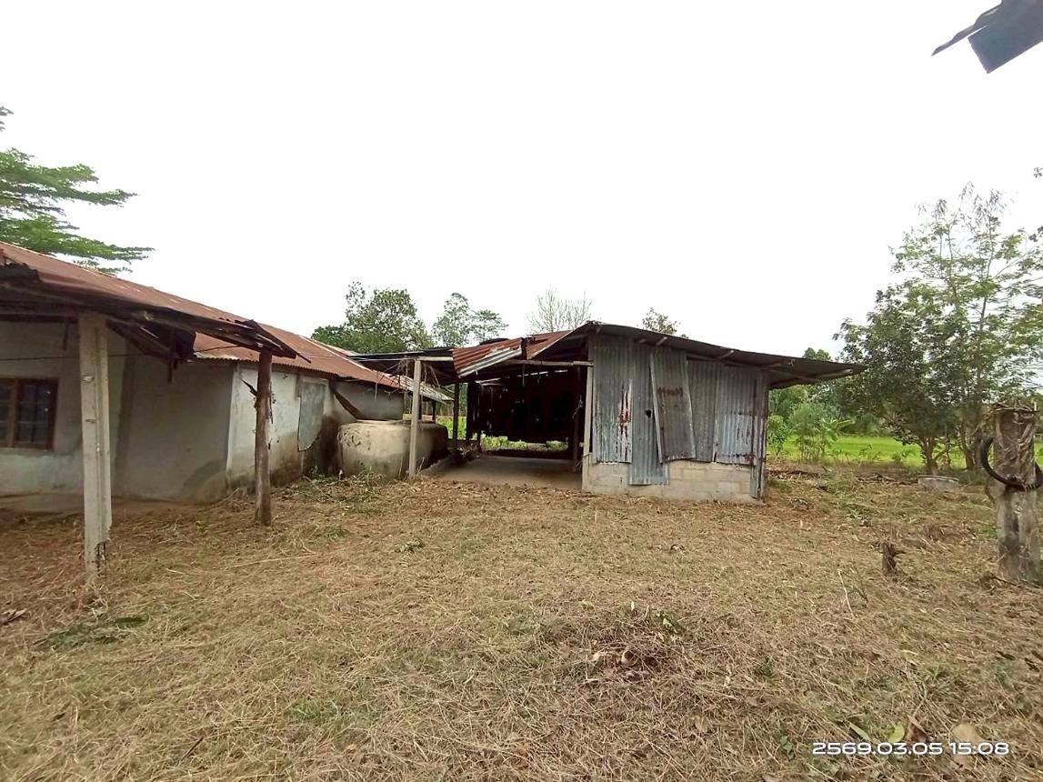 picture HOME 825 Sq.w. Muang Kalasin Kalasin for 1.2M - 28/35