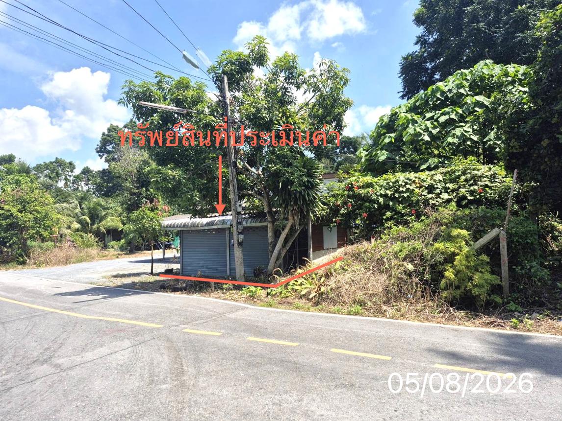 รูป บ้านเดี่ยว 137 ตร.วา ร่อนพิบูลย์ นครศรีธรรมราช 1M - รูปที่ 14/25