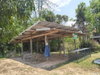 listing thumbnail image 34