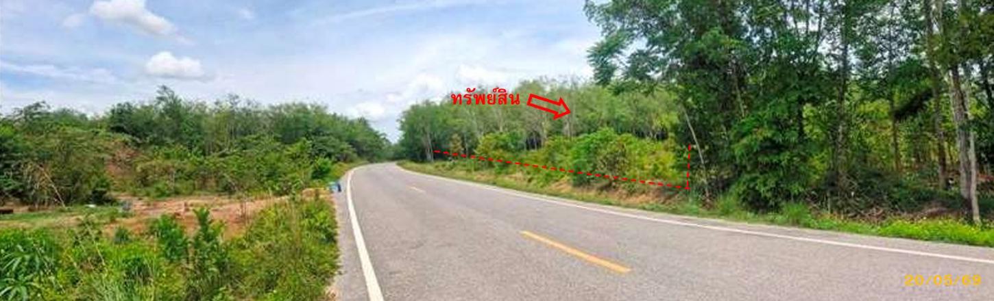 รูป สวนเกษตร 1539 ตร.วา แม่ลาน ปัตตานี 1.4M - รูปที่ 11/23