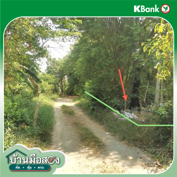 รูป ที่ดินว่างเปล่า 1603 ตร.วา ป่าโมก อ่างทอง 1.7M - รูปที่ 11/13
