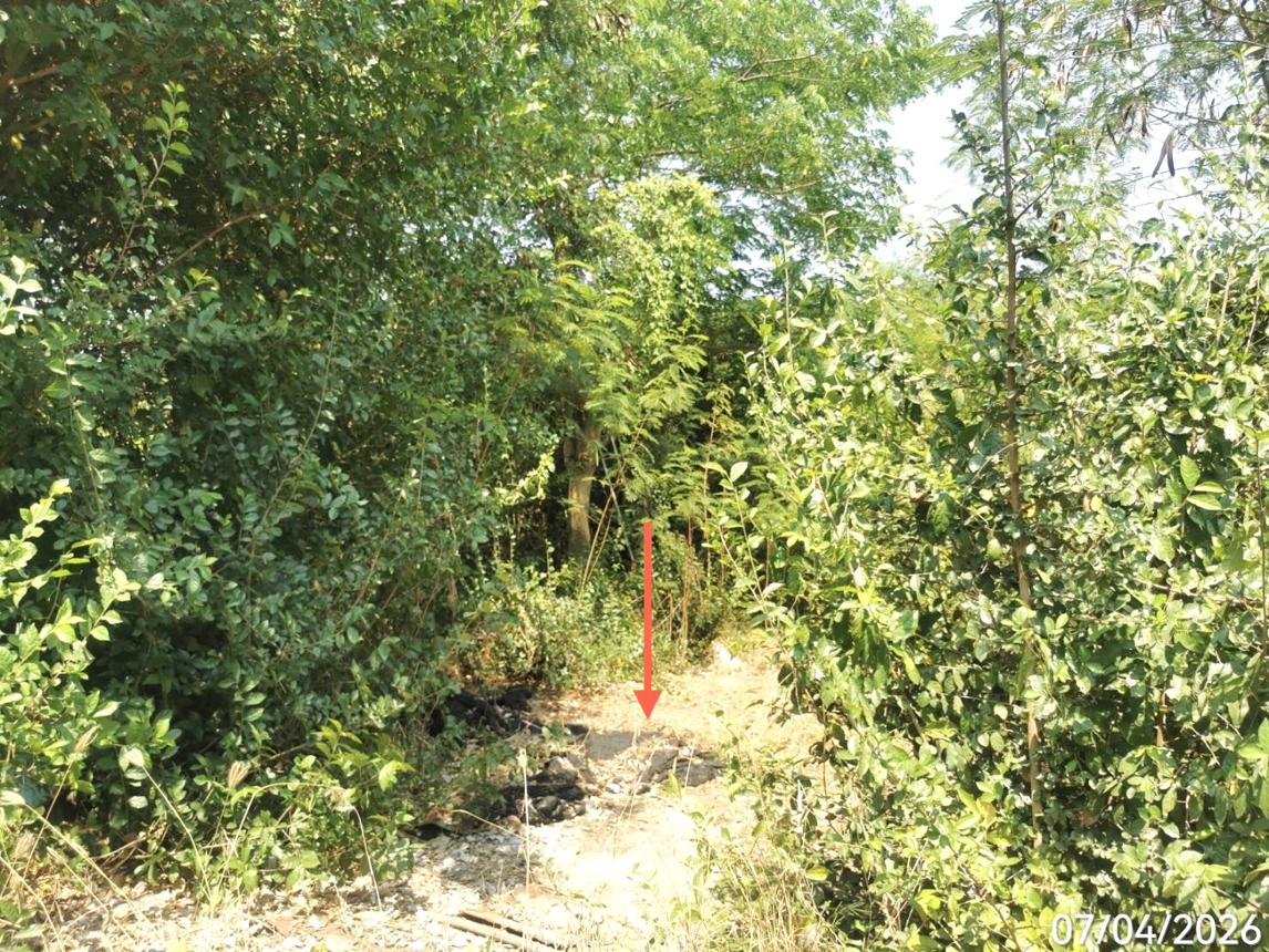 รูป ที่ดินว่างเปล่า 1603 ตร.วา ป่าโมก อ่างทอง 1.7M - รูปที่ 8/13
