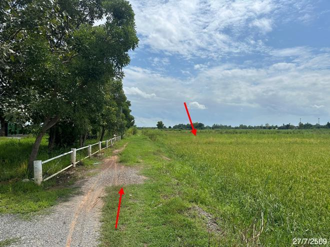 picture LAND 2520 Sq.w. Wang Thong Phitsanulok for 1.4M - 7/19