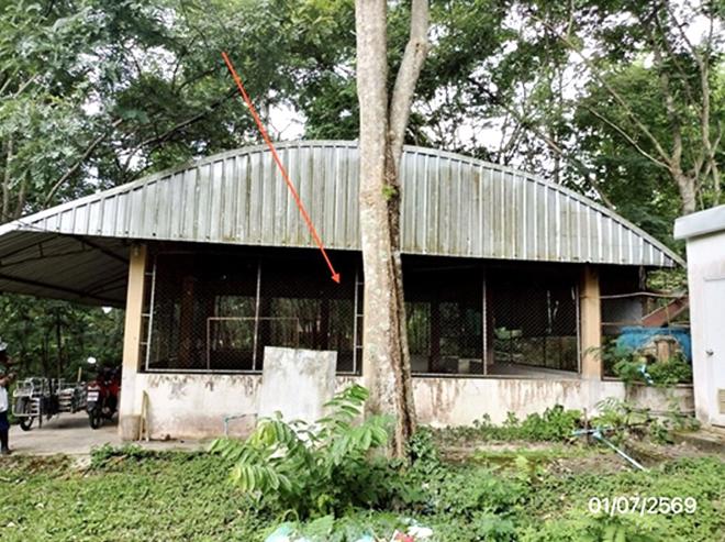 รูป บ้านเดี่ยว 3291 ตร.วา แม่สาย เชียงราย 12.5M - รูปที่ 12/45