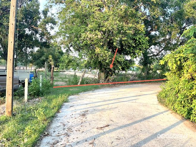 picture LAND 985 Sq.w. Khuang Nai Ubon Ratchathani for 1.4M - 4/25
