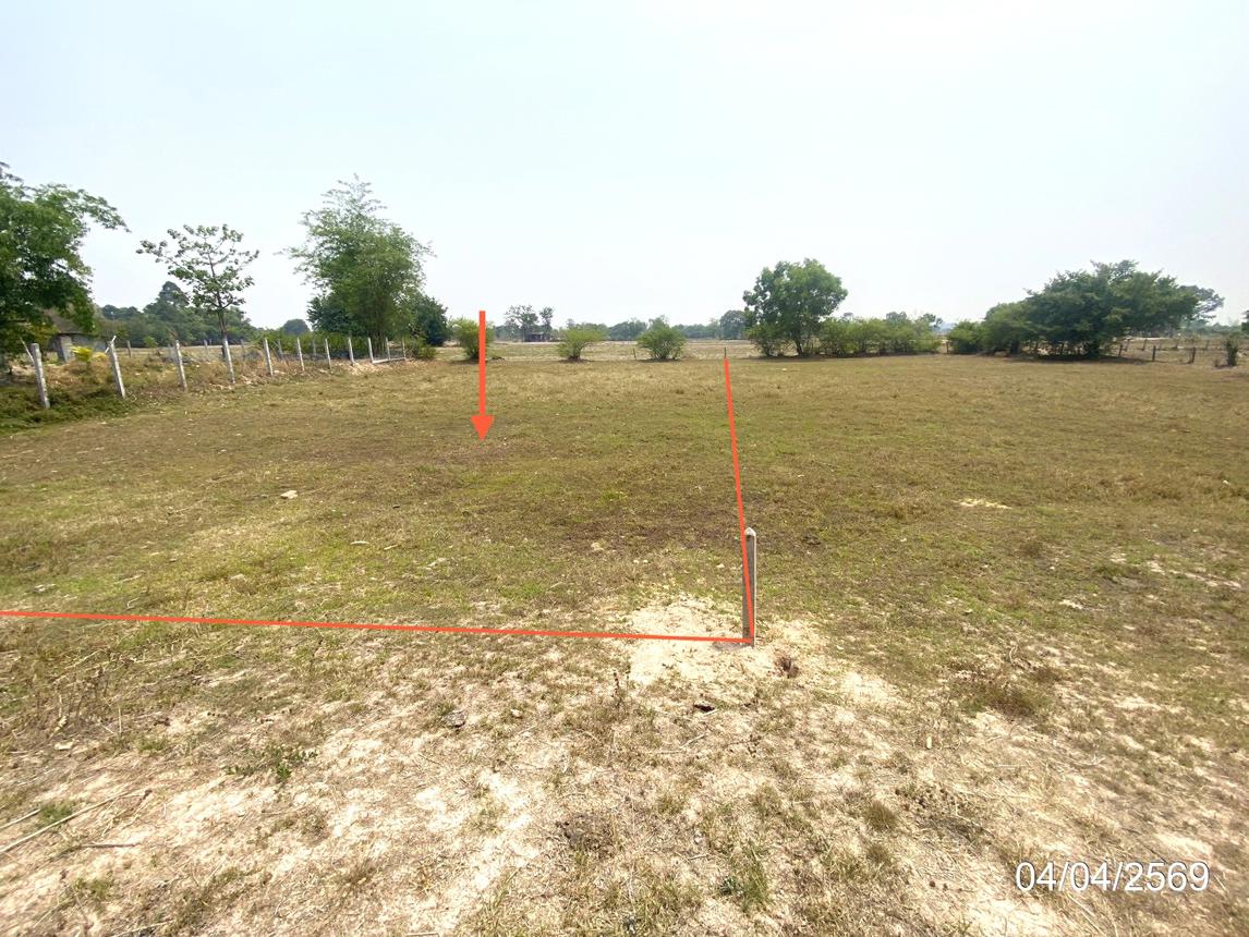 picture LAND 195.4 Sq.w. Muang Roi Et Roi Et for 587,000 - 11/17