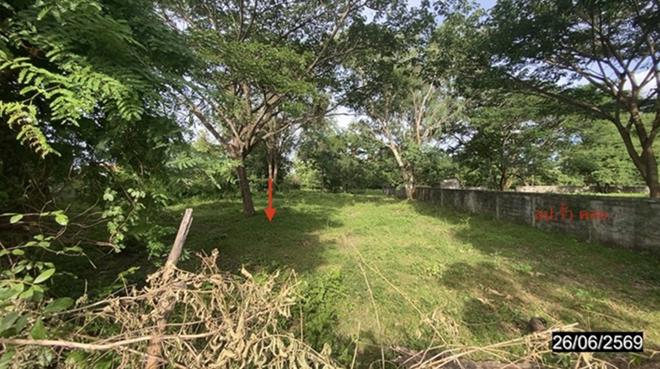 picture LAND 1867 Sq.w. Si Bun Ruang Nong Bua Lam Phu for 3.6M - 2/15