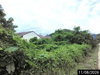 listing thumbnail image 31