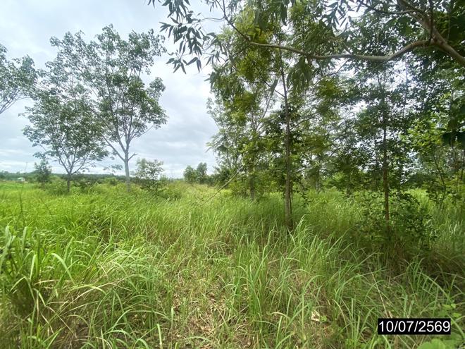 picture LAND 12067 Sq.w. Kut Chap Udon Thani for 4.5M - 8/21