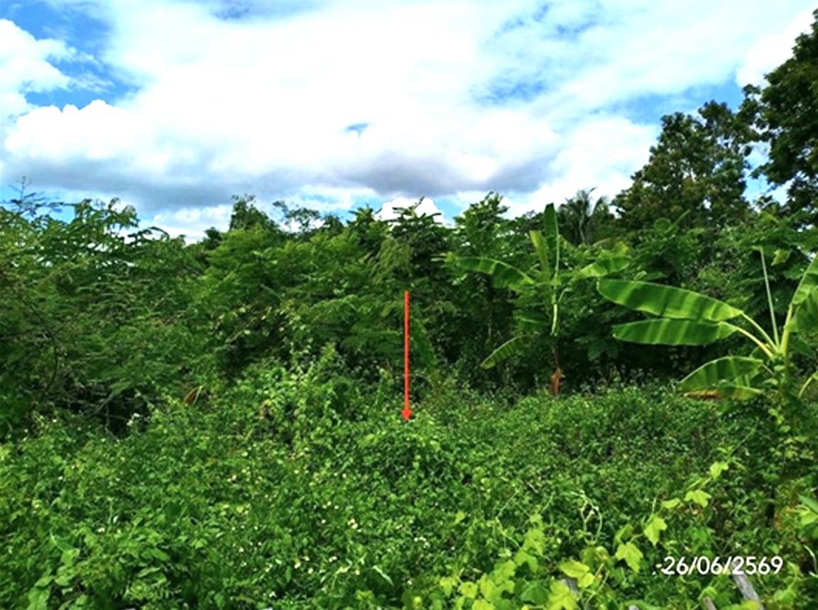 picture LAND 349.3 Sq.w. Dok Kham Tai Phayao for 1.2M - 15/21