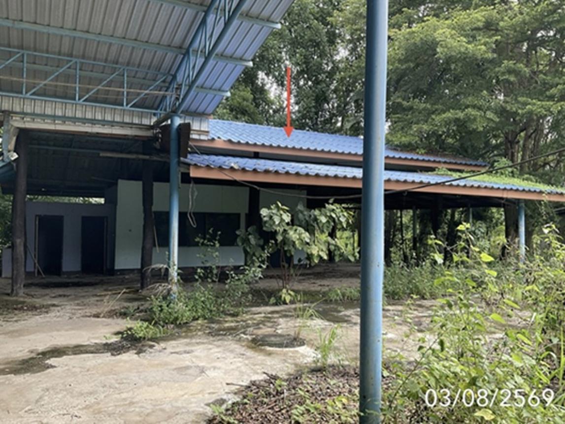 รูป บ้านเดี่ยว 3722 ตร.วา พญาเม็งราย เชียงราย 6M - รูปที่ 44/59