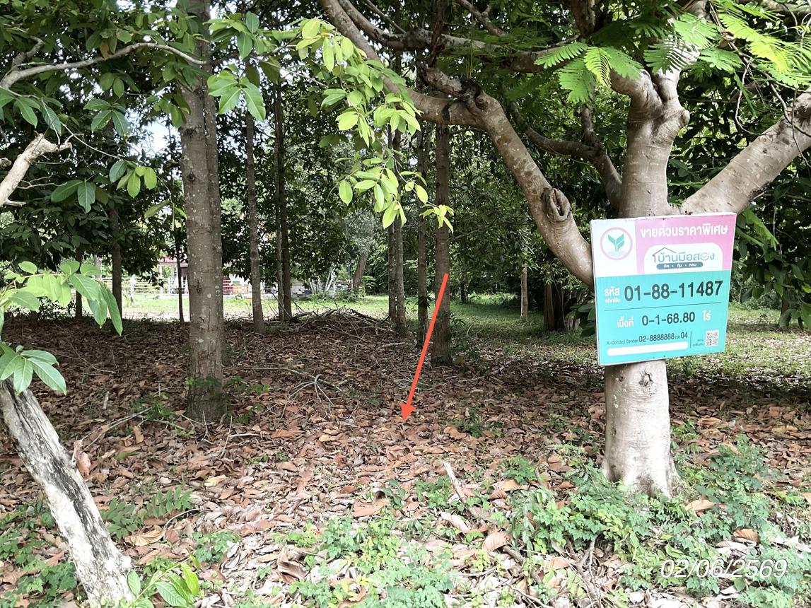 picture LAND 168.8 Sq.w. Na Di Prachinburi for 902,000 - 12/19