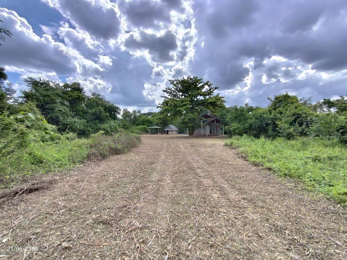 รูป บ้านเดี่ยว 1720 ตร.วา ตรอน อุตรดิตถ์ 3.4M - รูปที่ 54/59