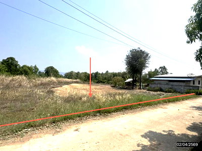 ขายที่ดิน : ที่ดินว่างเปล่า 5419.4 ตร.วา เมืองชัยภูมิ ชัยภูมิ 2.4M
