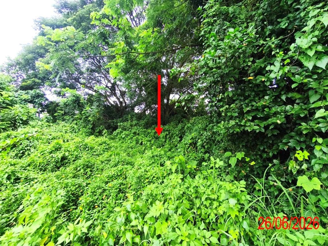 picture LAND 933 Sq.w. Hang Chat Lamphang for 2.1M - 12/21