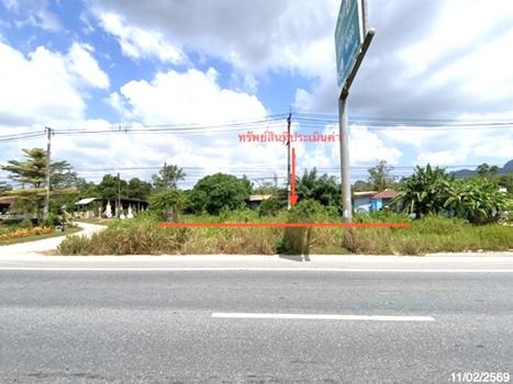 รูป ที่ดินว่างเปล่า 164 ตร.วา ควนขนุน พัทลุง 3.1M - รูปที่ 12/15