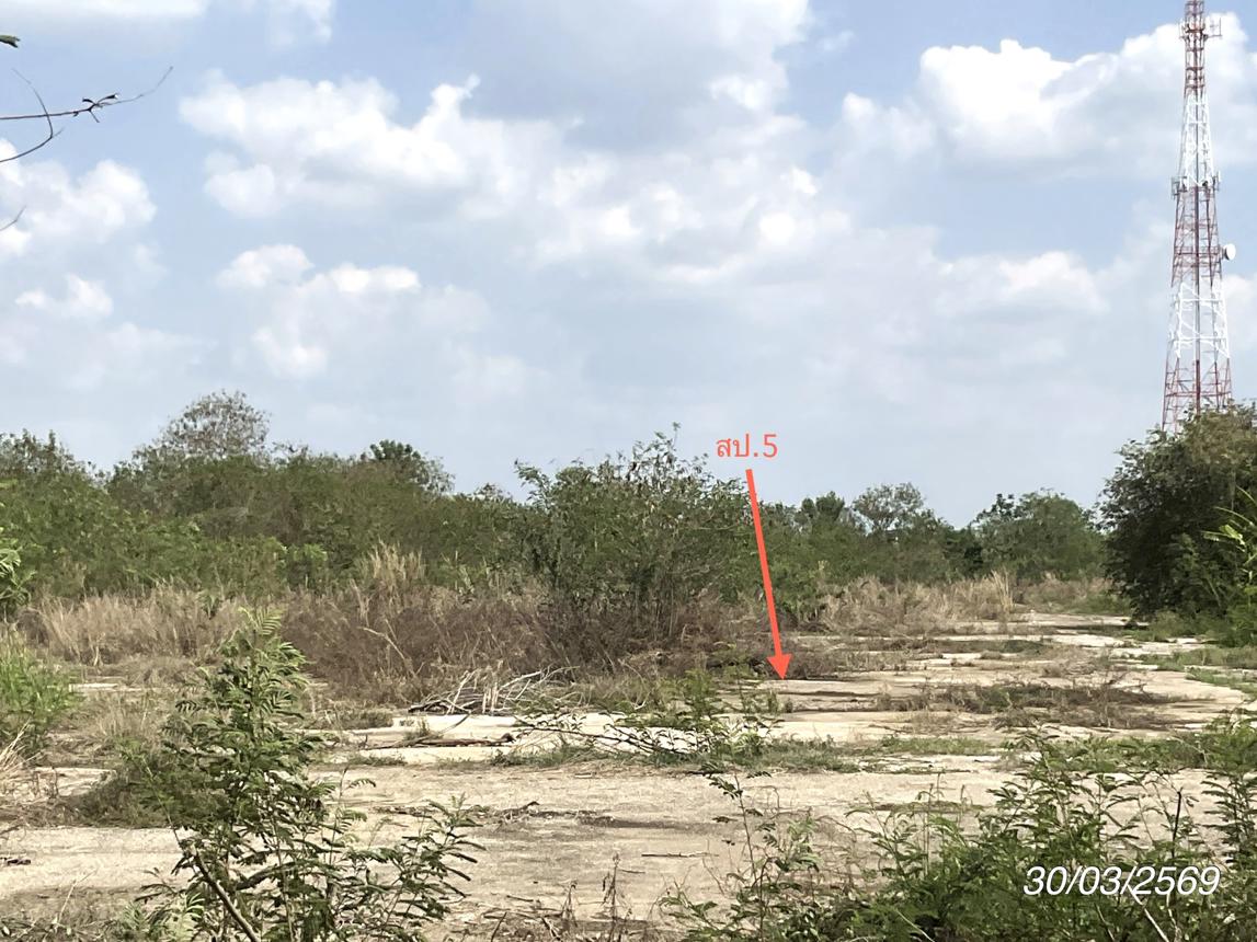 รูป บ้านเดี่ยว 5290 ตร.วา ศรีมหาโพธิ ปราจีนบุรี 12.8M - รูปที่ 33/43
