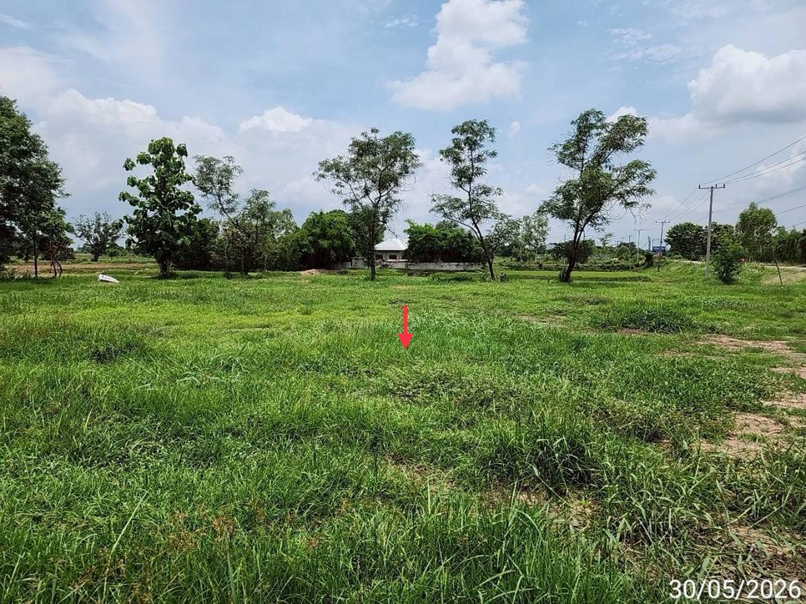 รูป ที่ดินว่างเปล่า 800 ตร.วา เชียงยืน มหาสารคาม 2.6M - รูปที่ 16/25