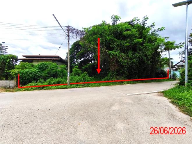 picture LAND 933 Sq.w. Hang Chat Lamphang for 2.1M - 1/21