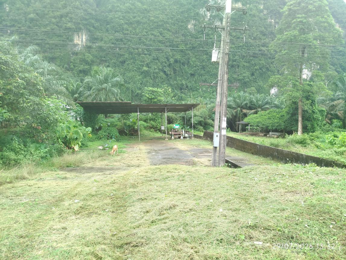 รูป โกดัง 465 ตร.วา อ่าวลึก กระบี่ 2M - รูปที่ 11/23