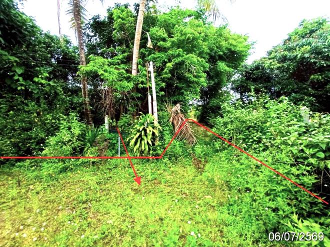 รูป บ้านเดี่ยว 205 ตร.วา พร้าว เชียงใหม่ 781,000 - รูปที่ 9/25