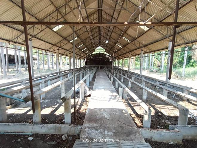 รูป ฟาร์ม 6600 ตร.วา เมืองปราจีนบุรี ปราจีนบุรี 8.8M - รูปที่ 6/89