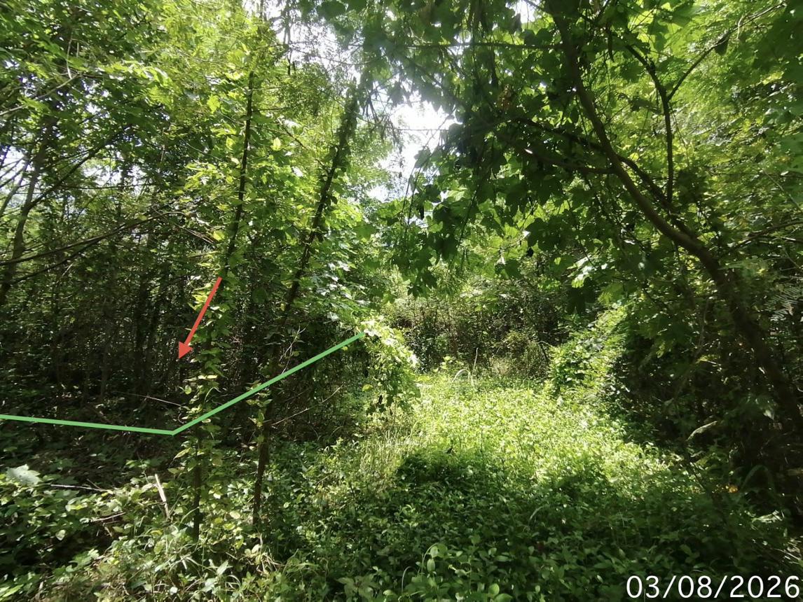 รูป ที่ดินว่างเปล่า 850 ตร.วา บ้านยุพนัย แก่งคอย สระบุรี 2.2M - รูปที่ 11/21