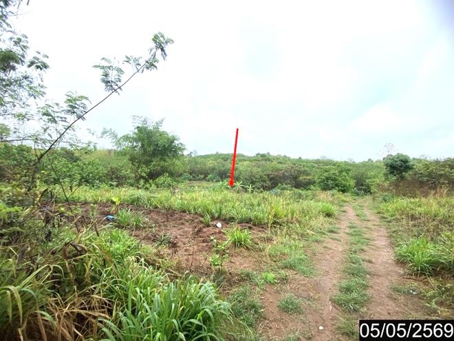 picture LAND 18631 Sq.w. Na Duang Loei for 5.5M - 6/17