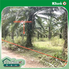 listing thumbnail image 12