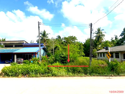 Land for sale Pa Bon Phatthalung : LAND 83 Sq.w. Pa Bon Phatthalung for 388,000
