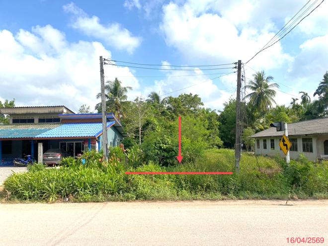 รูป ที่ดินว่างเปล่า 83 ตร.วา ป่าบอน พัทลุง 388,000 - รูปที่ 1/15