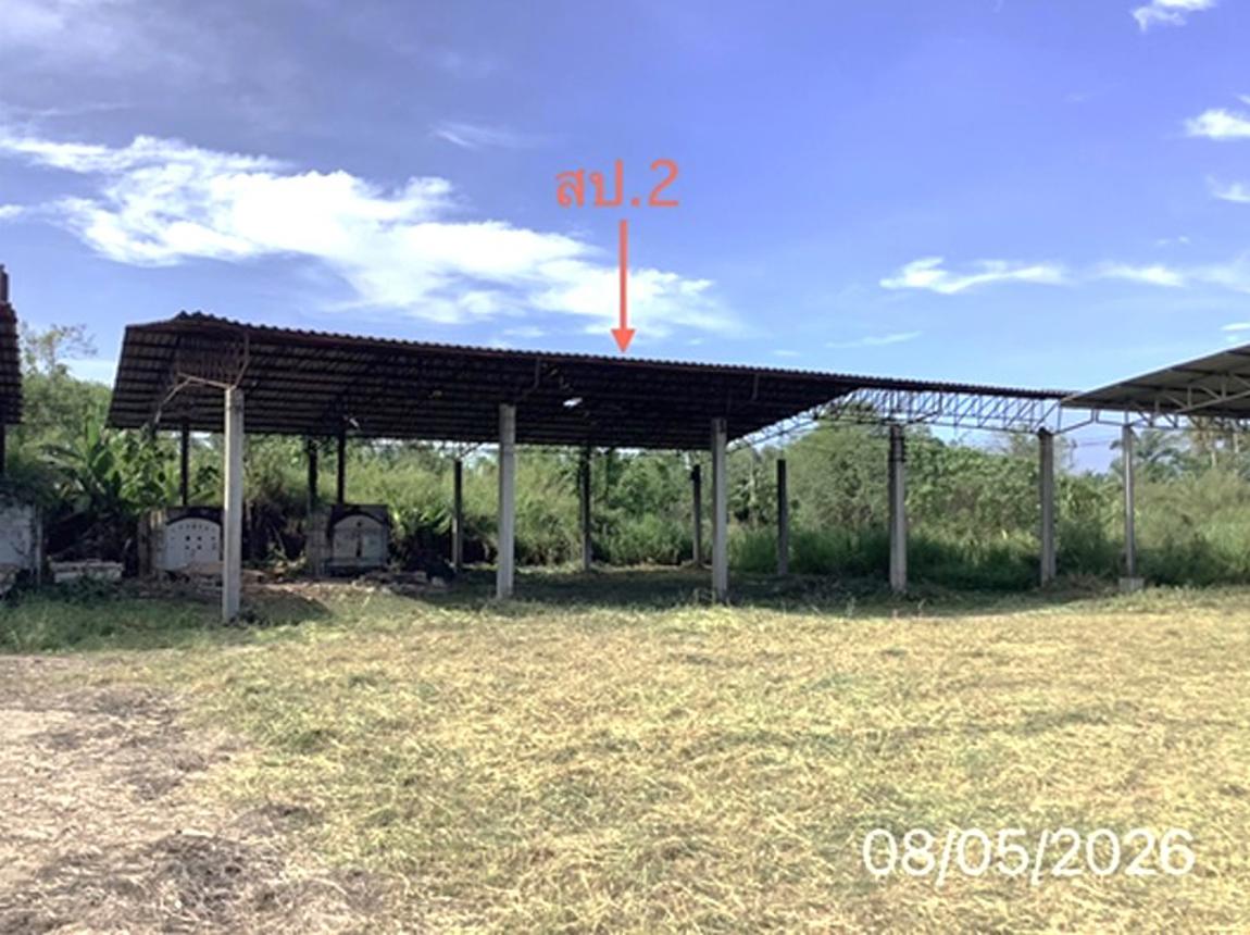 picture FACTORY 1484.7 Sq.w. Chawang Nakhon Sri Thammarat for 7.6M - 19/25