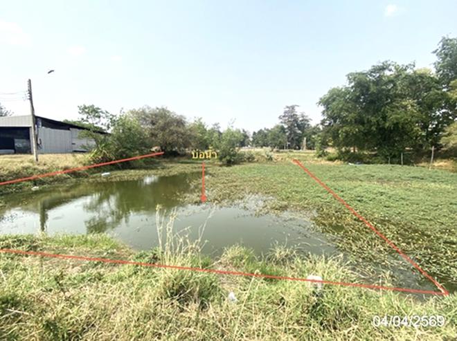 picture LAND 1591 Sq.w. Muang Roi Et Roi Et for 7.2M - 7/21
