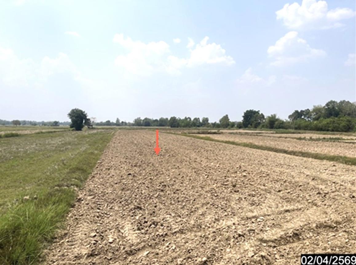 รูป ที่ดินว่างเปล่า 1315 ตร.วา หนองกุงศรี กาฬสินธุ์ 704,000 - รูปที่ 12/19
