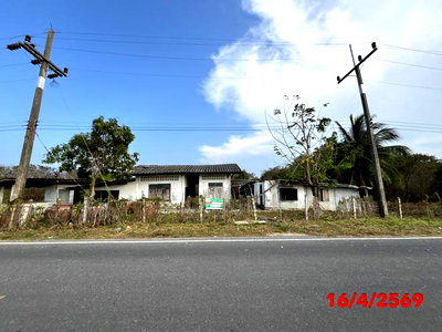 บ้านเดี่ยว สุราษฎร์ธานี : บ้านเดี่ยว 4945 ตร.วา กาญจนดิษฐ์ สุราษฎร์ธานี 2.3M