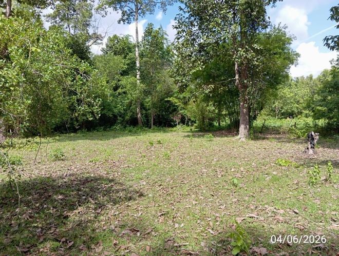 รูป บ้านเดี่ยว 334 ตร.วา สุวรรณภูมิ ร้อยเอ็ด 362,000 - รูปที่ 9/21