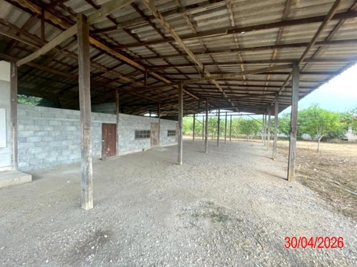 รูป โกดัง 1969.2 ตร.วา บ้านโฮ่ง ลำพูน 3.4M - รูปที่ 47/61