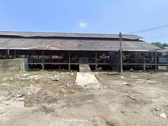 รูป ฟาร์ม 6600 ตร.วา เมืองปราจีนบุรี ปราจีนบุรี 8.8M - รูปที่ 10/89