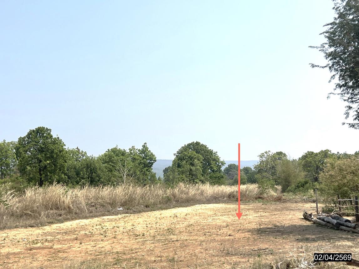 picture LAND 5419.4 Sq.w. Muang Chaiyaphum Chaiyaphum for 2.4M - 16/25