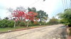 listing thumbnail image 11