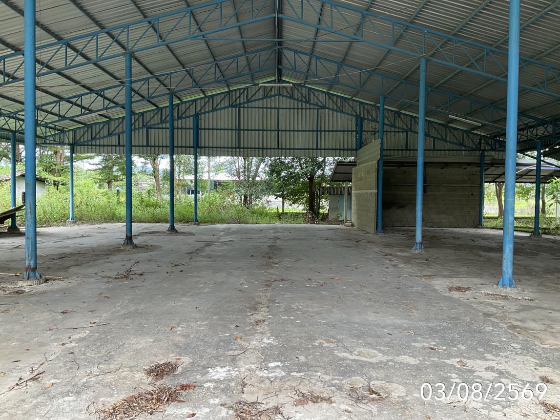 รูป บ้านเดี่ยว 3722 ตร.วา พญาเม็งราย เชียงราย 6M - รูปที่ 42/59